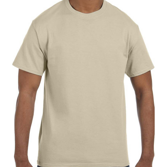 Adult lightweight Cotton T-Shirt (1-2 Color Design, Screen Print)