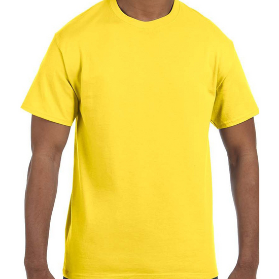Adult lightweight Cotton T-Shirt (1-2 Color Design, Screen Print)