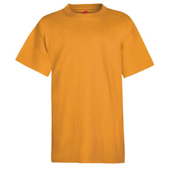 Youth Lightweight Cotton T-Shirt (Full Color)